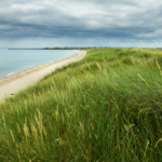 The Best Beaches to Visit in the North East this Summer