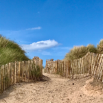 The Best Beaches to Visit in the North East this Summer