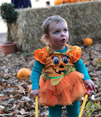 Ten Pumpkin Picking Spots in the North East this October