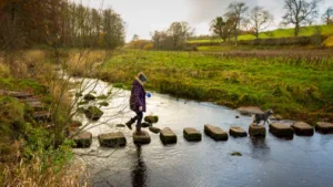 Top Walking Spots in the North East For 2025