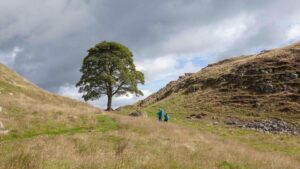 Top Walking Spots in the North East For 2025