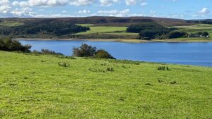 Top Walking Spots in the North East For 2025